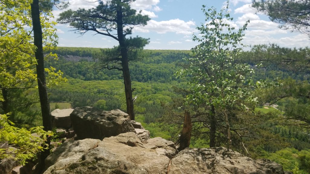Surrounding forests as viewed from the East Bluffs Trail