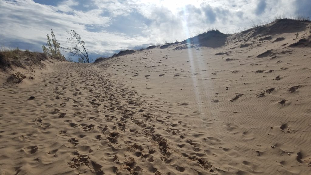 The dunes give you a strange feeling of hiking in the desert.