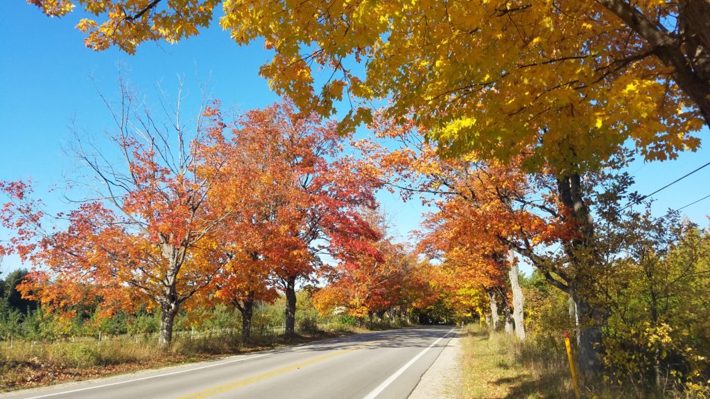 Bright fall colors along the scenic drive on Hwy 22.