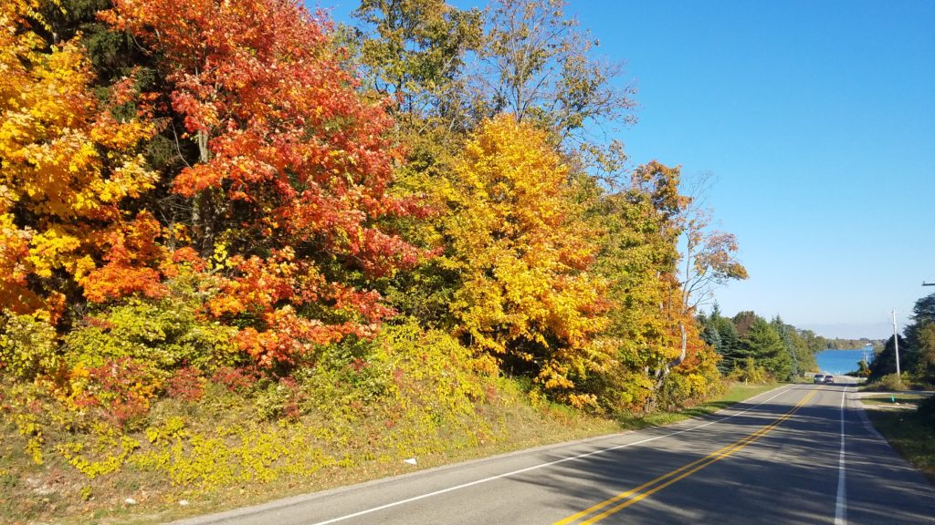 Bright fall colors along the scenic drive on Hwy 22.